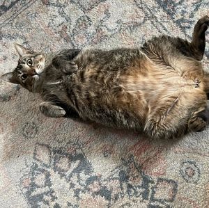 Meet your Posher, Fred